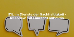 ITIL im Dienste der Nachhaltigkeit - Interview mit Laurent Louboutin